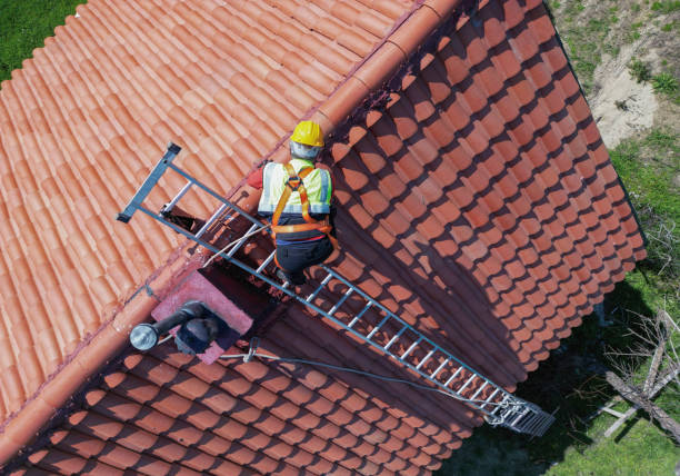 Best Steel Roofing  in Almont, MI